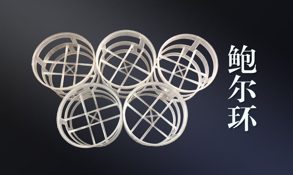 鲍尔环细节2