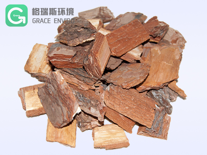 石家庄松树皮